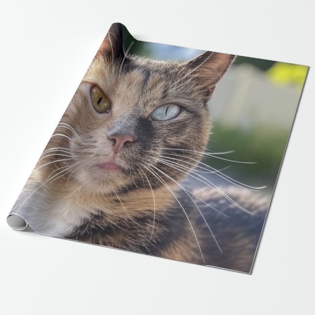 Add Cat Photo Customize Wrapping Paper (Unrolled)