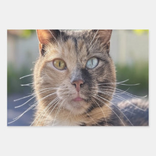 Add Cat Photo Customize Wrapping Paper Sheets