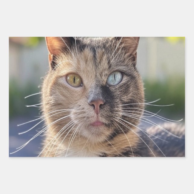 Add Cat Photo Customize Wrapping Paper Sheets (Front)