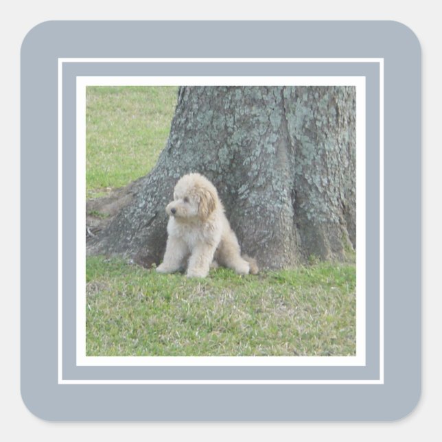 Add Custom Photo Template Light Blue & White Square Sticker (Front)