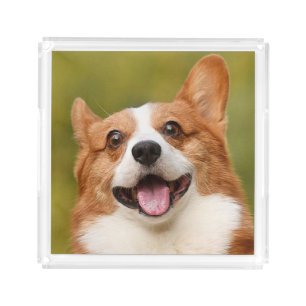 Add Dog Photo Personalized Customized Acrylic Tray