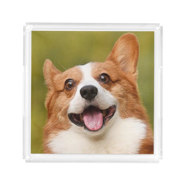 Add Dog Photo Personalized Customized Acrylic Tray (Front)