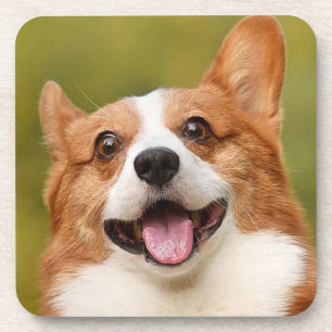 Add Dog Photo Personalized Customized Beverage Coaster