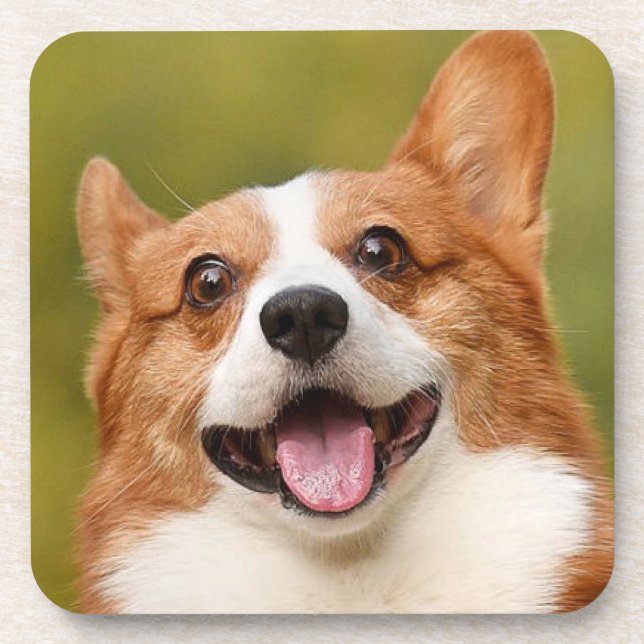 Add Dog Photo Personalized Customized Beverage Coaster (Front)