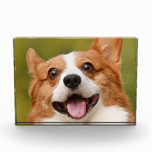 Add Dog Photo Personalized Customized Block