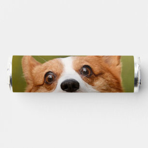 Add Dog Photo Personalized Customized Breath Savers® Mints