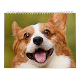 Add Dog Photo Personalized Customized Calendar