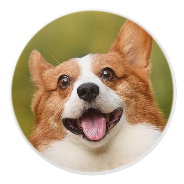 Add Dog Photo Personalized Customized Ceramic Knob (Front)