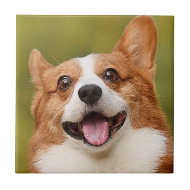 Add Dog Photo Personalized Customized Ceramic Tile (Front)