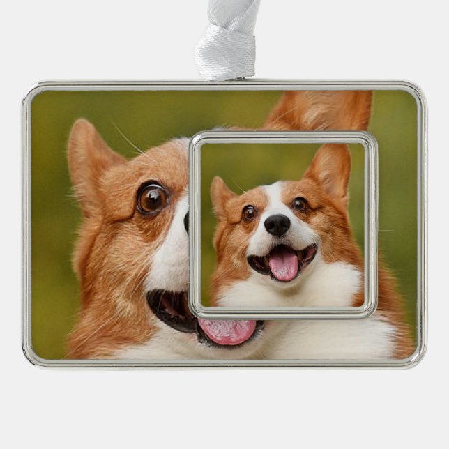 Add Dog Photo Personalized Customized Christmas Ornament (Front)