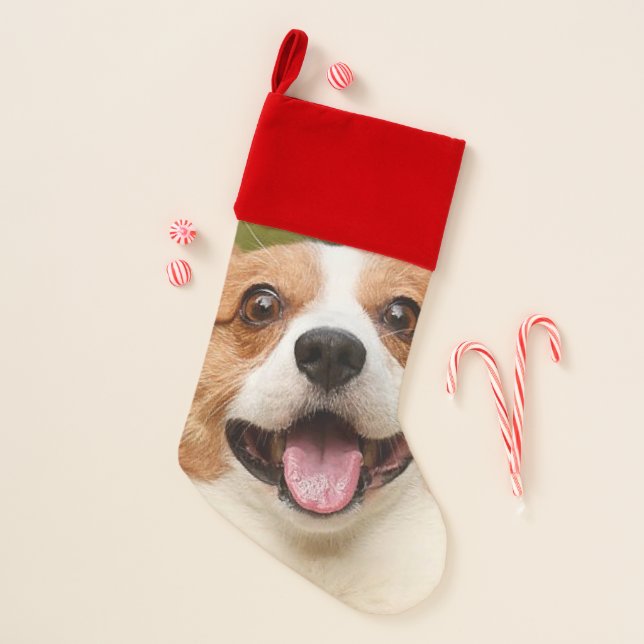 Add Dog Photo Personalized Customized Christmas Stocking (Front)