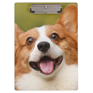 Add Dog Photo Personalized Customized Clipboard