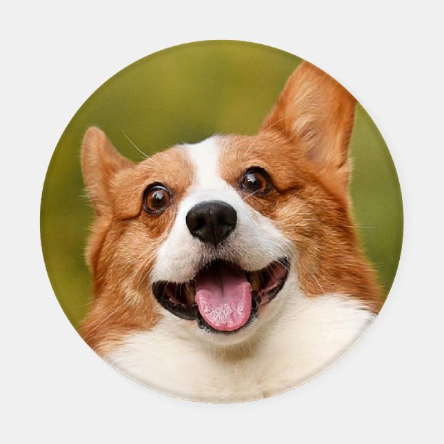 Add Dog Photo Personalized Customized Coaster Set (Single)