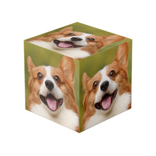 Add Dog Photo Personalized Customized Cube