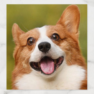 Add Dog Photo Personalized Customized Envelope Liner