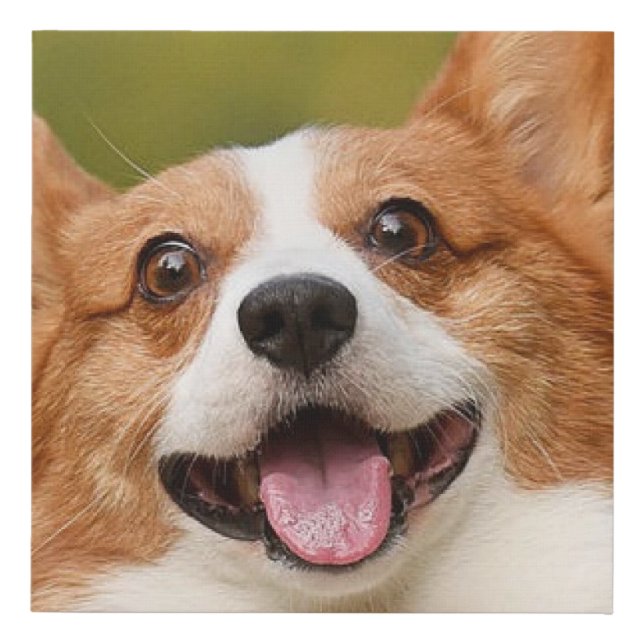 Add Dog Photo Personalized Customized Faux Canvas Print (Front)