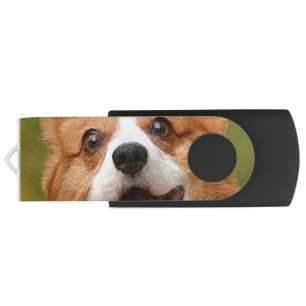 Add Dog Photo Personalized Customized Flash Drive