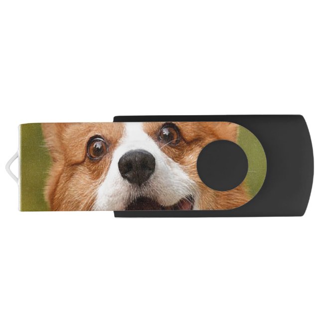 Add Dog Photo Personalized Customized Flash Drive (Back)