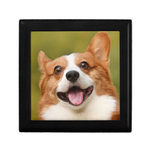 Add Dog Photo Personalized Customized Gift Box