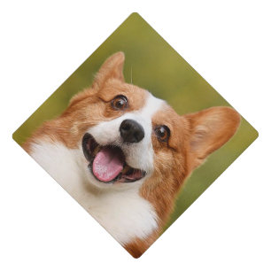 Add Dog Photo Personalized Customized Graduation Cap Topper