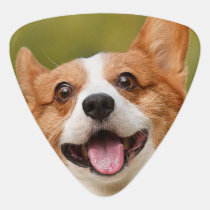 Add Dog Photo Personalized Customized Guitar Pick