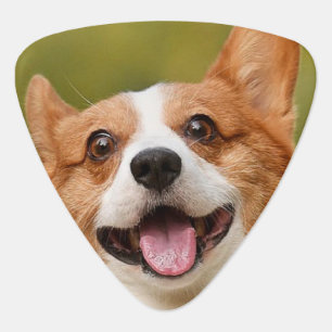 Add Dog Photo Personalized Customized Guitar Pick