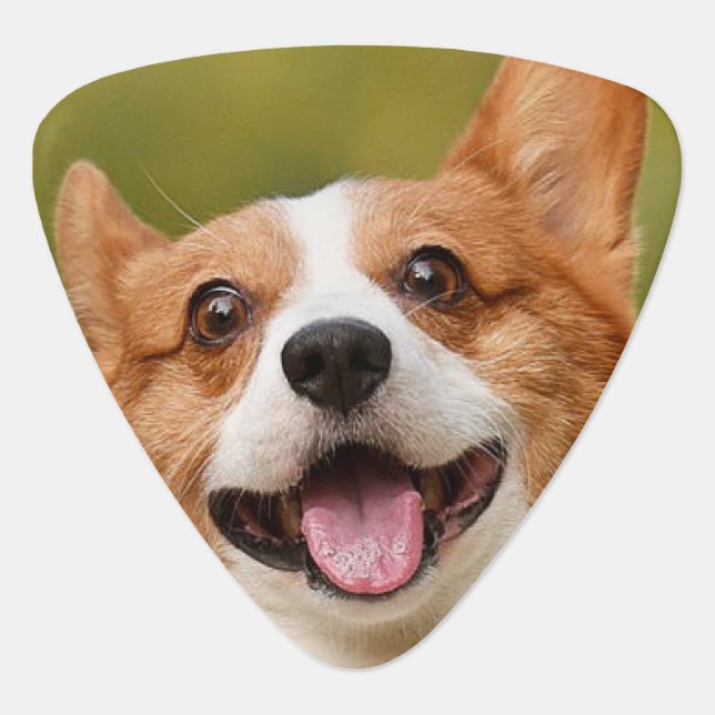 Add Dog Photo Personalized Customized Guitar Pick (Front)
