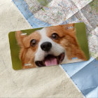 Add Dog Photo Personalized Customized