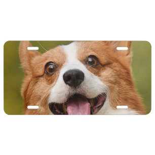 Add Dog Photo Personalized Customized License Plate
