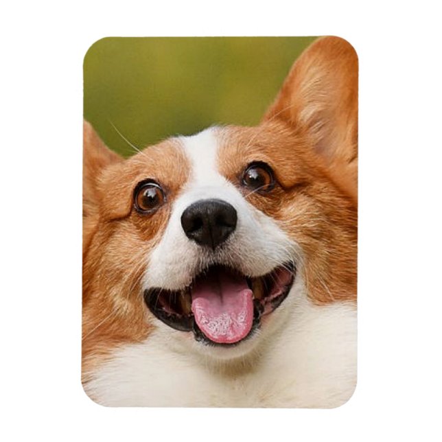 Add Dog Photo Personalized Customized Magnet (Vertical)