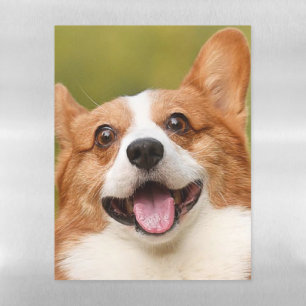 Add Dog Photo Personalized Customized Magnetic Dry Erase Sheet