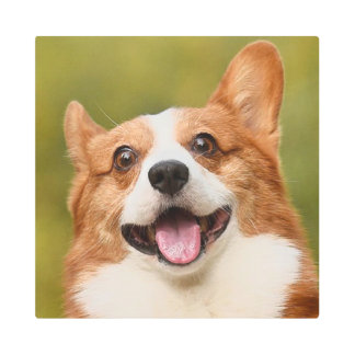 Add Dog Photo Personalized Customized Metal Print