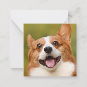 Add Dog Photo Personalized Customized Note Card
