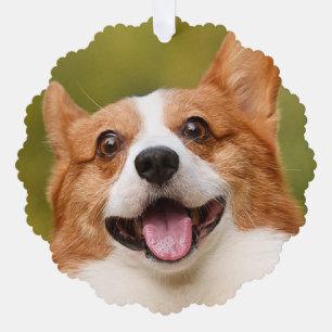 Add Dog Photo Personalized Customized Ornament Card