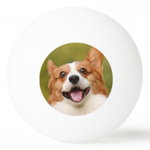 Add Dog Photo Personalized Customized Ping Pong Ball