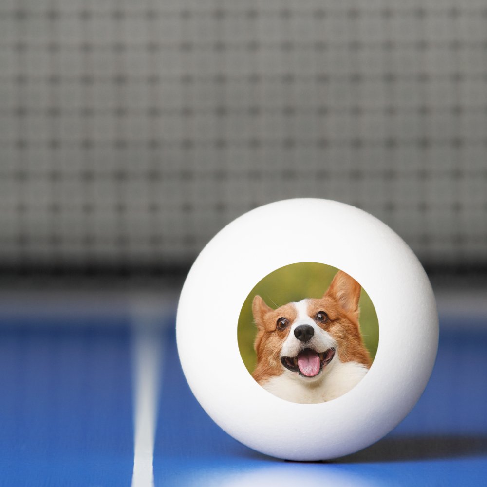 Disover Add Dog Photo Personalized Customized Ping Pong Ball