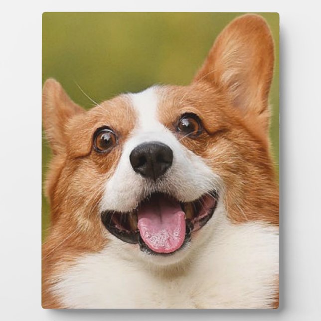 Add Dog Photo Personalized Customized Plaque (Front)