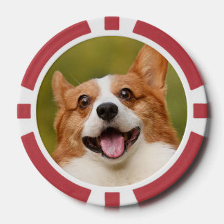 Add Dog Photo Personalized Customized Poker Chips