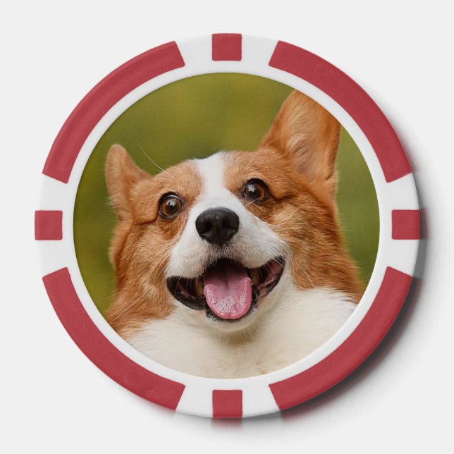 Add Dog Photo Personalized Customized Poker Chips (Front)