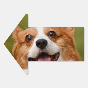Add Dog Photo Personalized Customized Sign