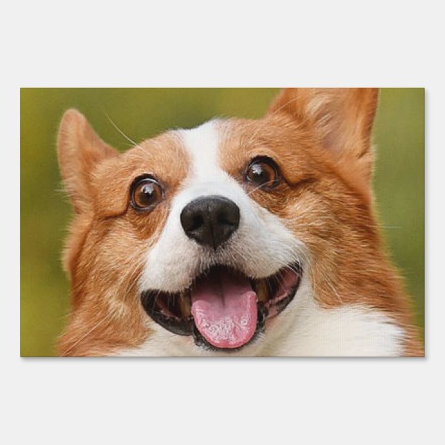 Add Dog Photo Personalized Customized Sign (Front)