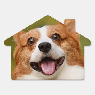 Add Dog Photo Personalized Customized Sign