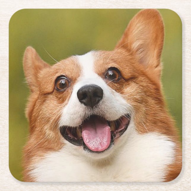 Add Dog Photo Personalized Customized Square Paper Coaster (Front)