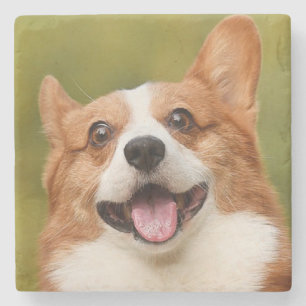 Add Dog Photo Personalized Customized Stone Coaster