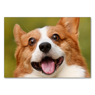 Add Dog Photo Personalized Customized Table Number