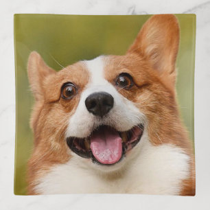 Add Dog Photo Personalized Customized Trinket Tray