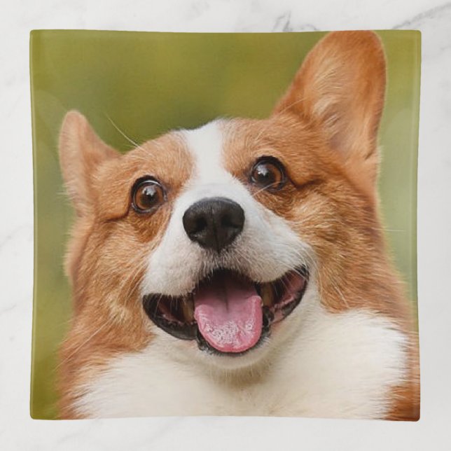 Add Dog Photo Personalized Customized Trinket Tray (Front)