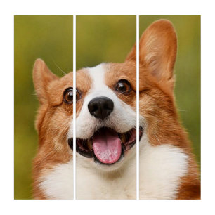 Add Dog Photo Personalized Customized Triptych