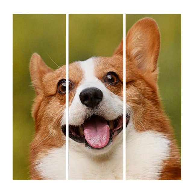 Add Dog Photo Personalized Customized Triptych (Front)