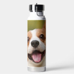 Add Dog Photo Personalized Customized Water Bottle<br><div class="desc">Add Dog Photo Personalized Customized,  Add Dog Photo,  Personalized,  Customized,  Dog Photo,  Dog,  Dogs,  Pet,  Pets,  Photo</div>